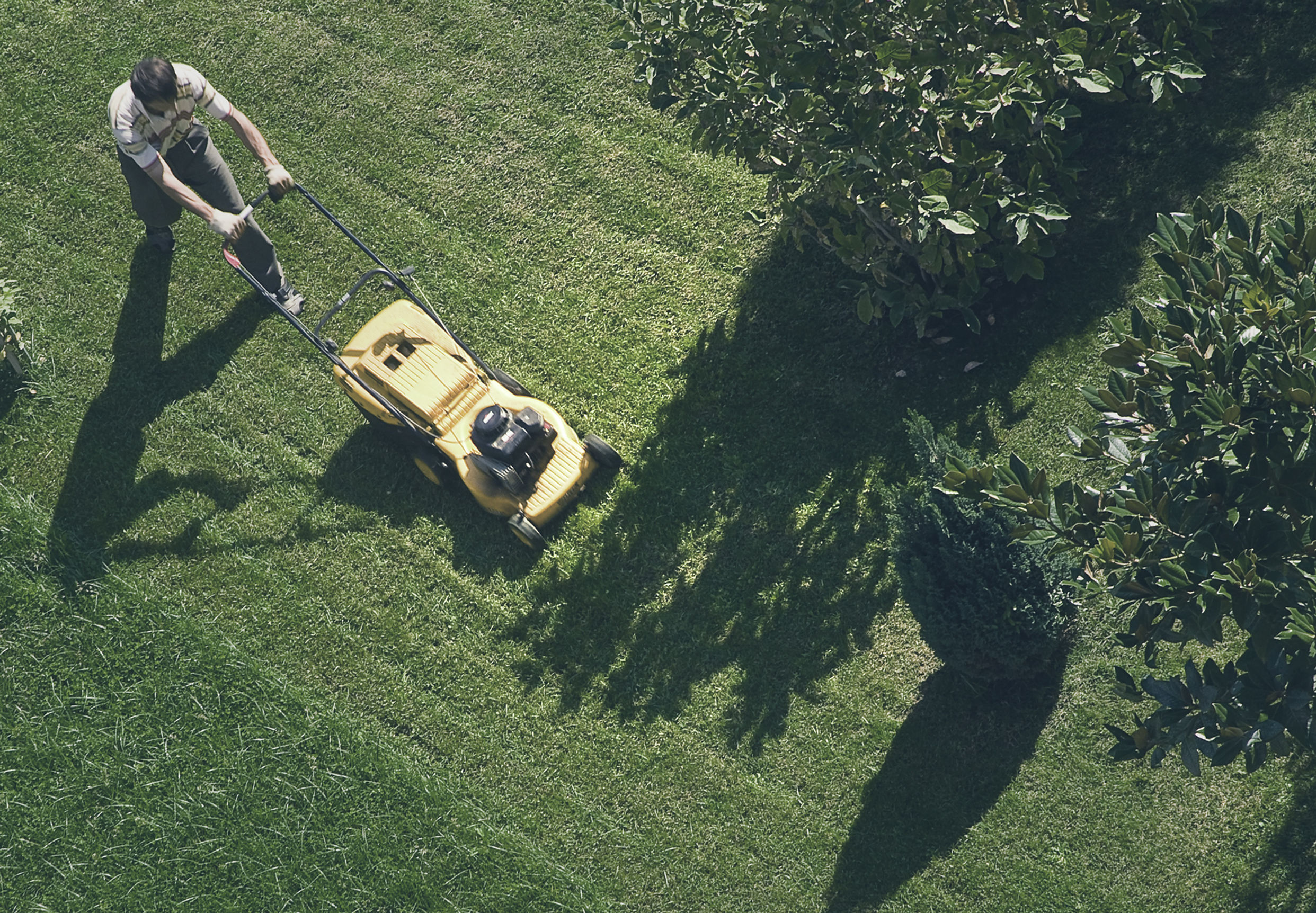 Profesyonel çim biçme ve peyzaj uygulaması